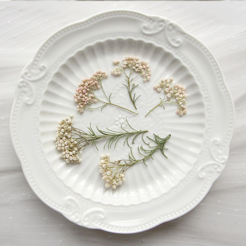 Dried Flower Bookmark - 12 peças, Ramos de Flores de