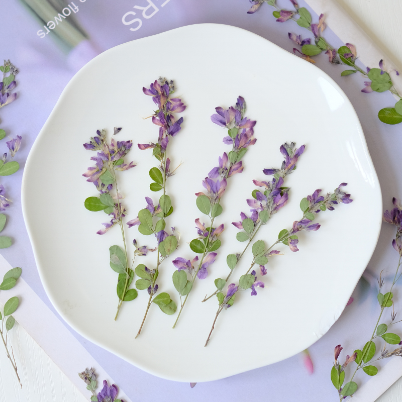 6 peças, Flores Secas Naturais - Dried Flower Bookmark avaliação e preço