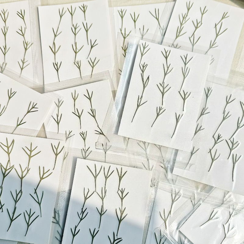 24 peças, Folhas de Achillea P - Dried Flower Bookmark avaliação e preço