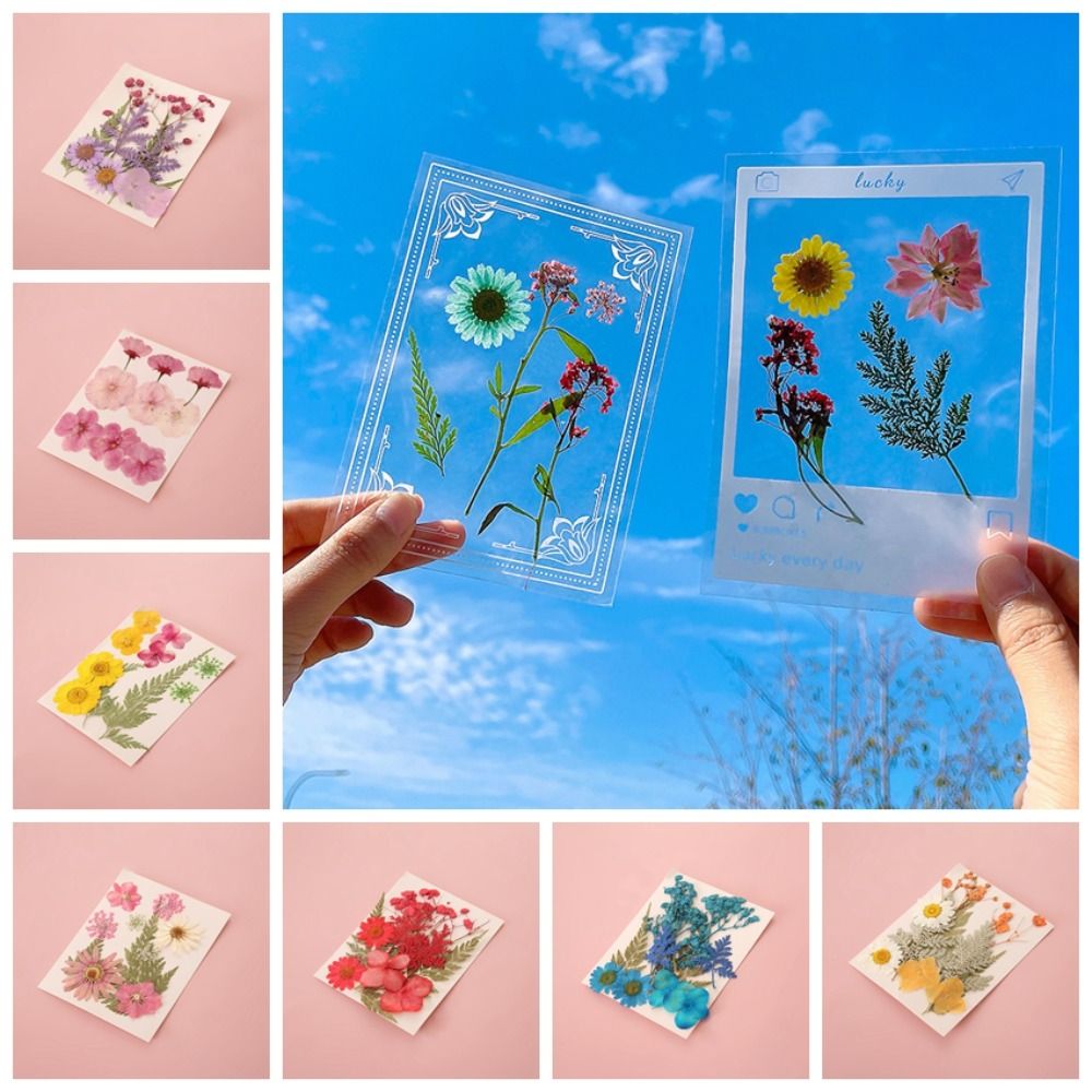 Materiais DIY: Marcadores de L - Dried Flower Bookmark avaliação e preço